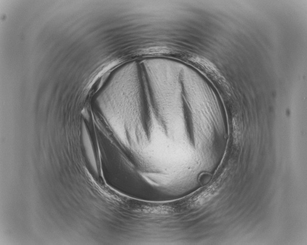 X0000059251225200511041325