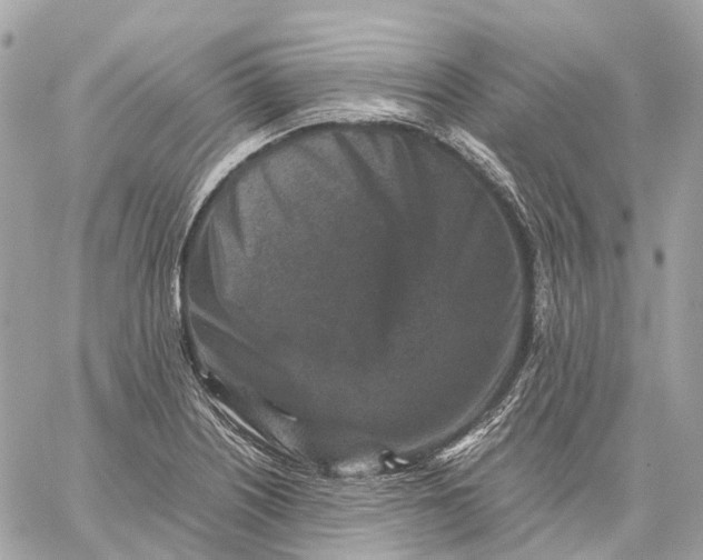 X0000059251226200511041325