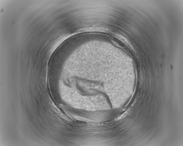 X0000059251228200511041325