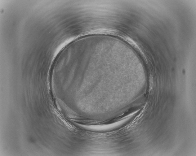 X0000059251230200511041325