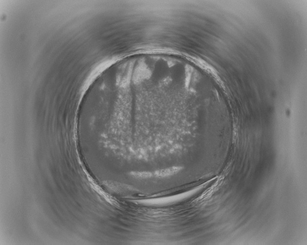 X0000059251231200511041325