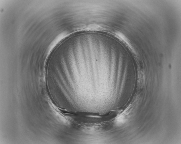 X0000059251232200511041325