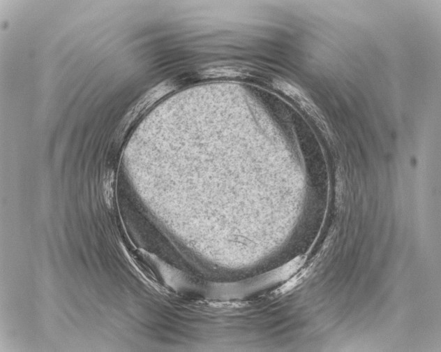 X0000059251233200511041325