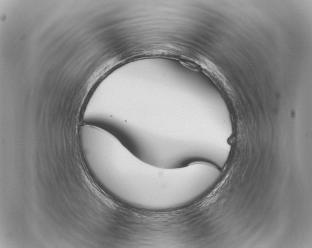 X0000059251234200511041325