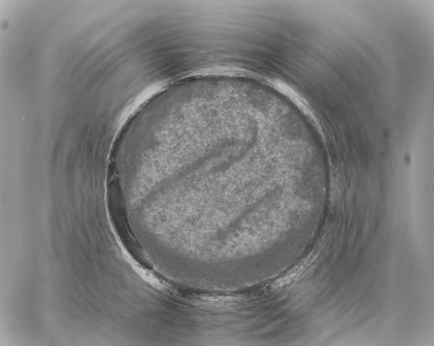 X0000059251237200511041325