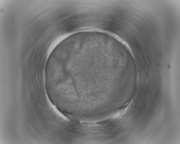 X0000059251239200511041325