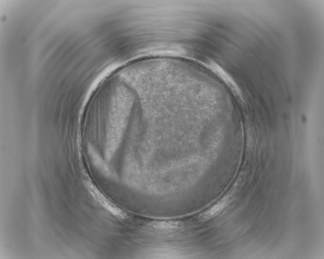 X0000059251240200511041325