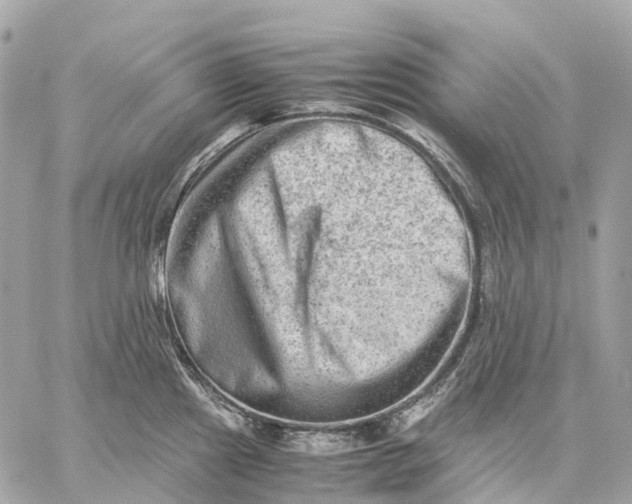 X0000059251241200511041325