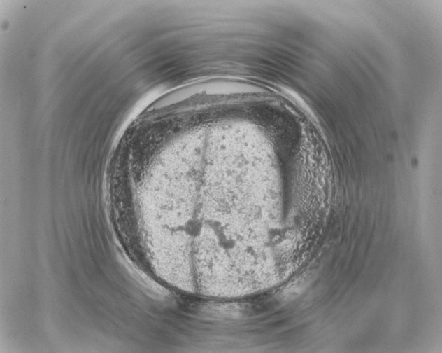 X0000059251243200511041325