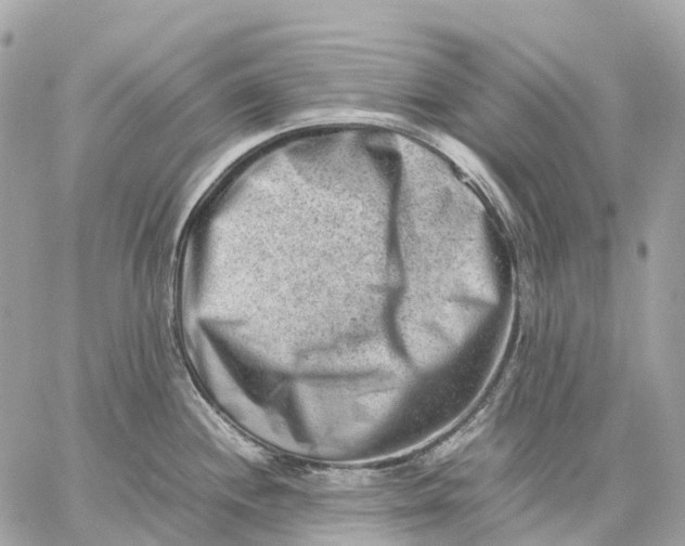 X0000059251244200511041325