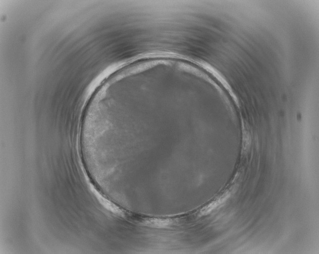 X0000059251245200511041325