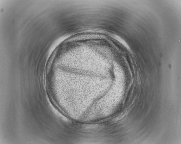 X0000059251247200511041325