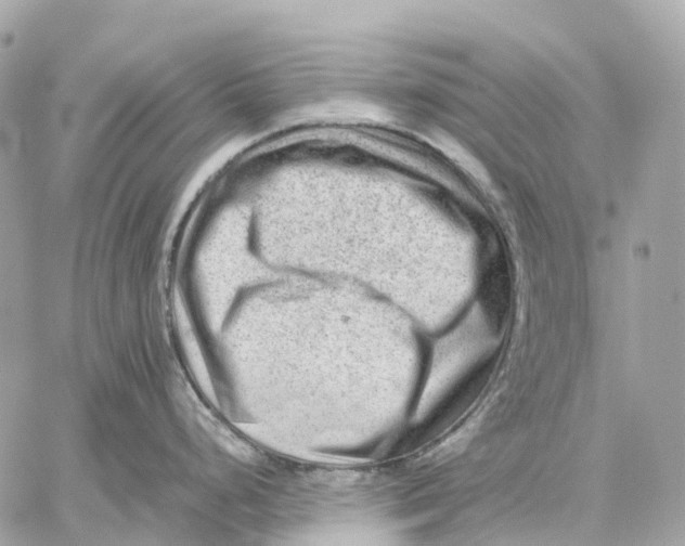 X0000059251248200511041325