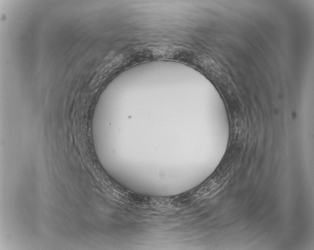 X0000059251249200511041325