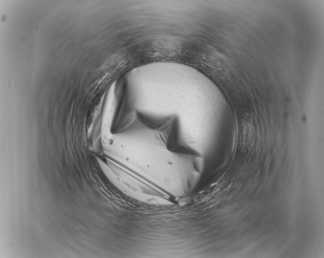 X0000059251250200511041325