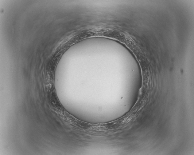 X0000059251253200511041325