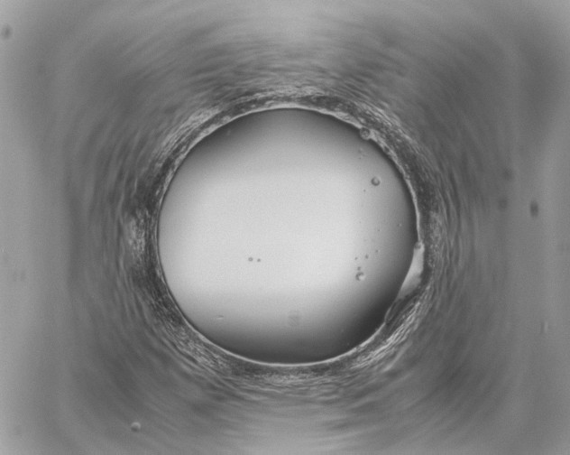 X0000059251257200511041325