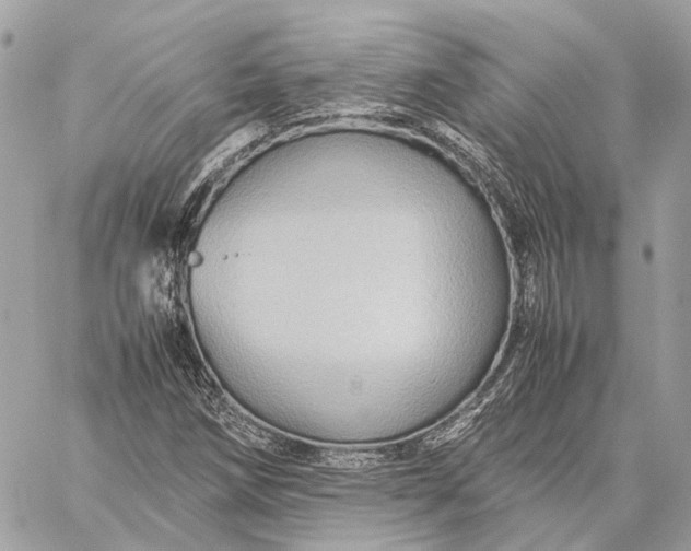 X0000059251258200511041325