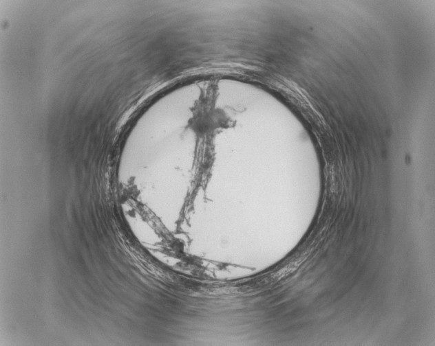 X0000059251260200511041325