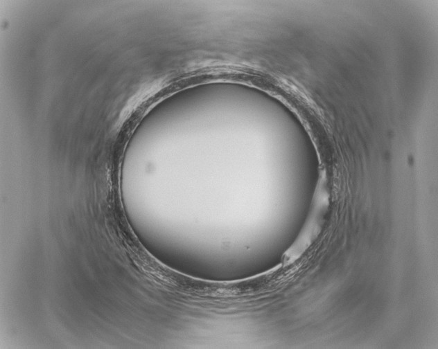 X0000059251261200511041324