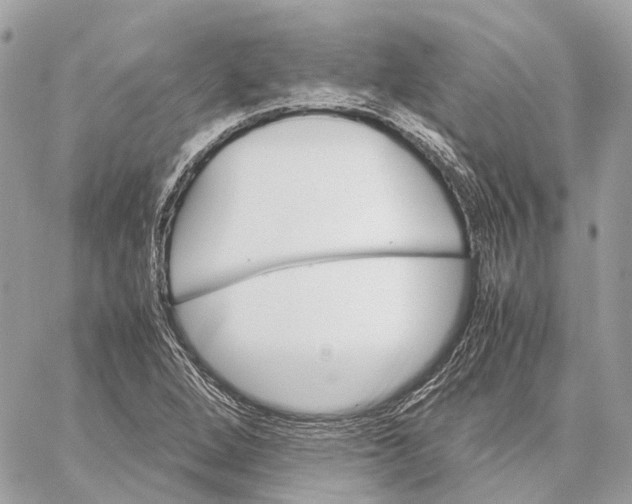 X0000059251264200511041324