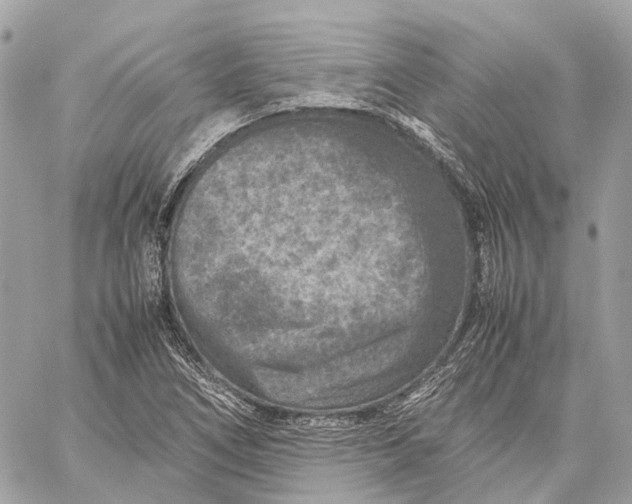 X0000059251266200511041324