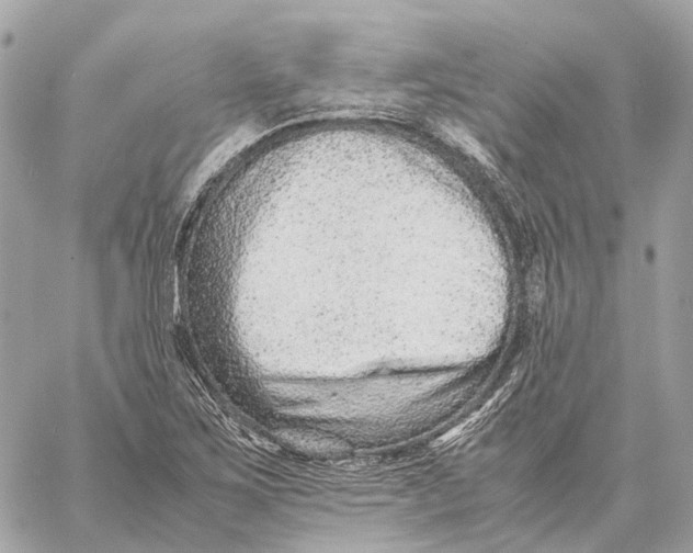 X0000059251267200511041324