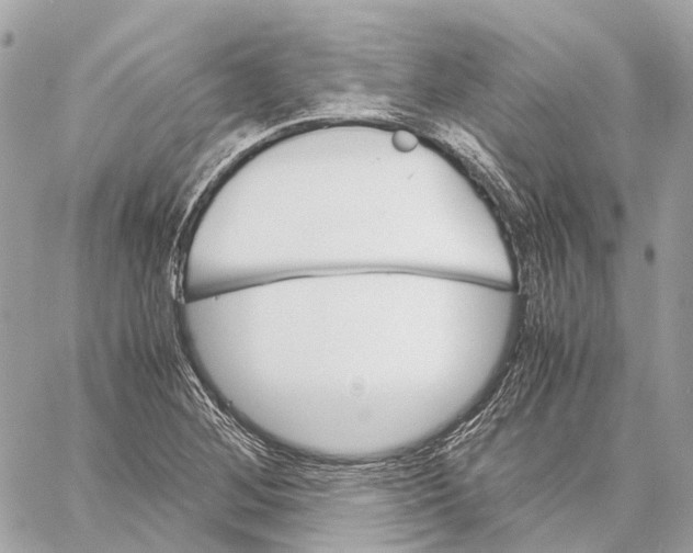 X0000059251268200511041324