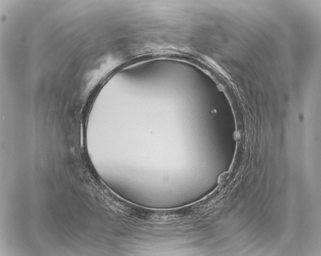 X0000059251269200511041324