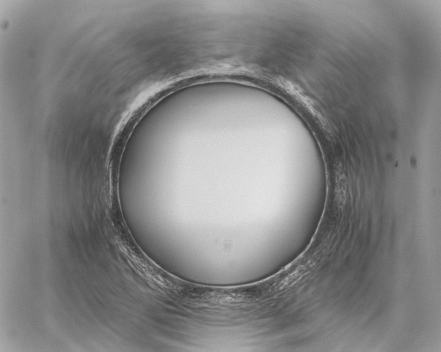 X0000059251270200511041324