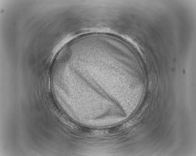 X0000059251271200511041324