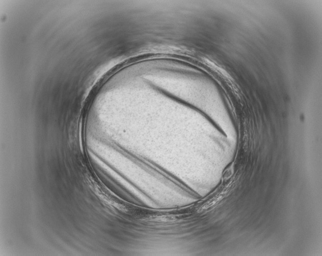 X0000059251272200511041324