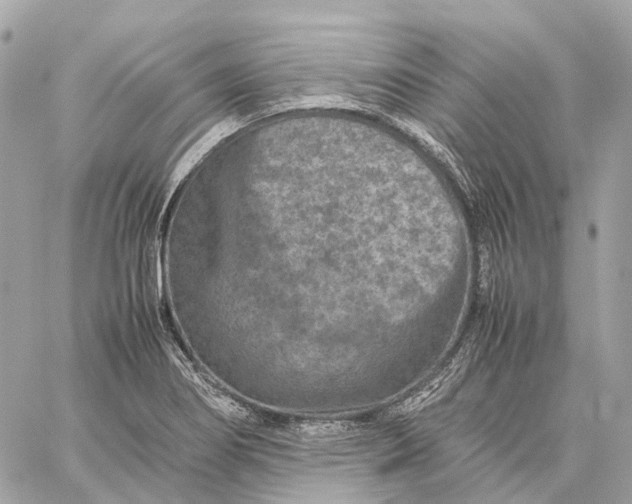 X0000059251274200511041324