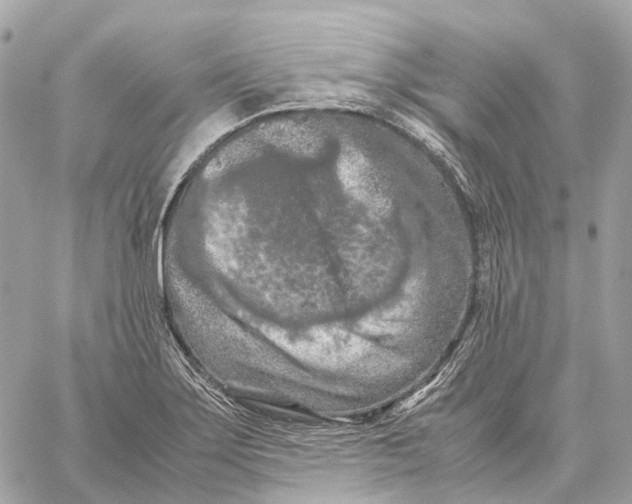 X0000059251275200511041324