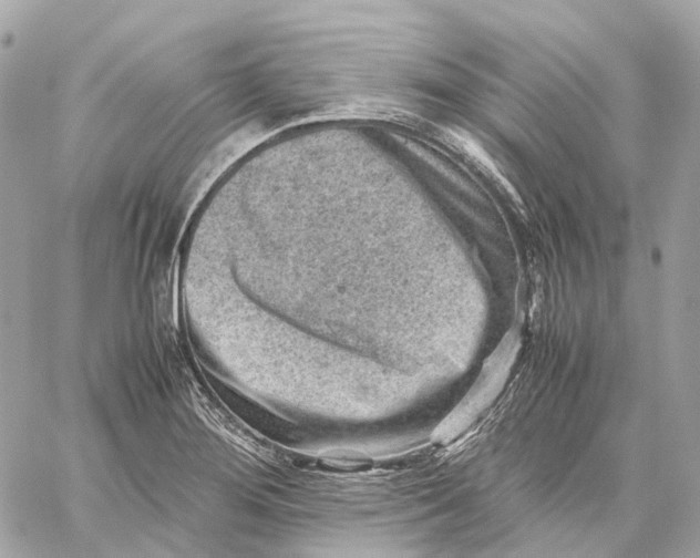 X0000059251276200511041324