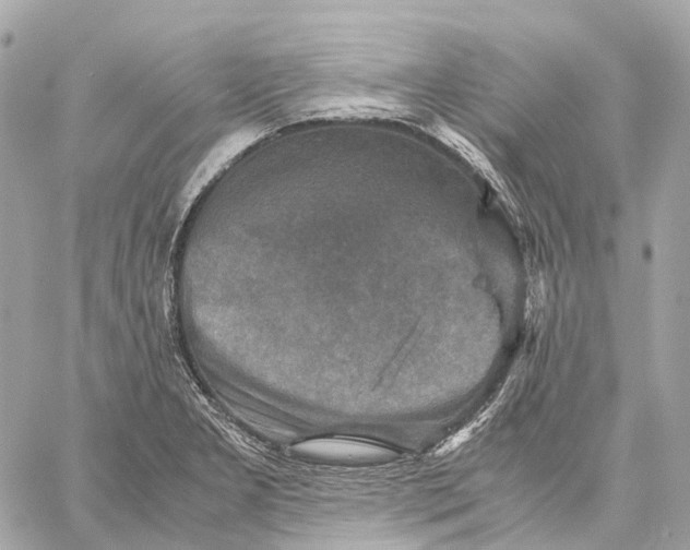 X0000059251277200511041324