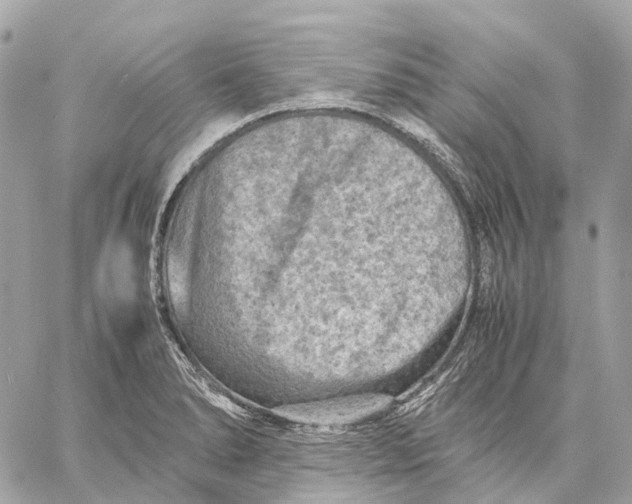 X0000059251278200511041324