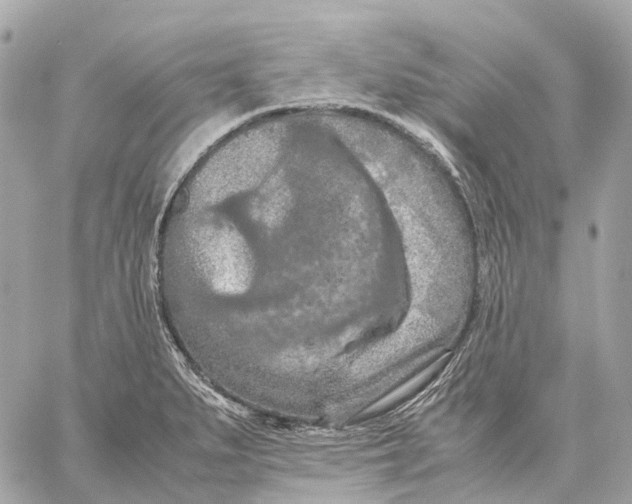 X0000059251279200511041324