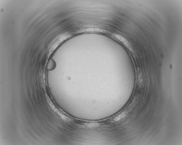 X0000059251282200511041324