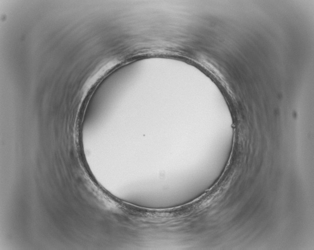 X0000059251285200511041324