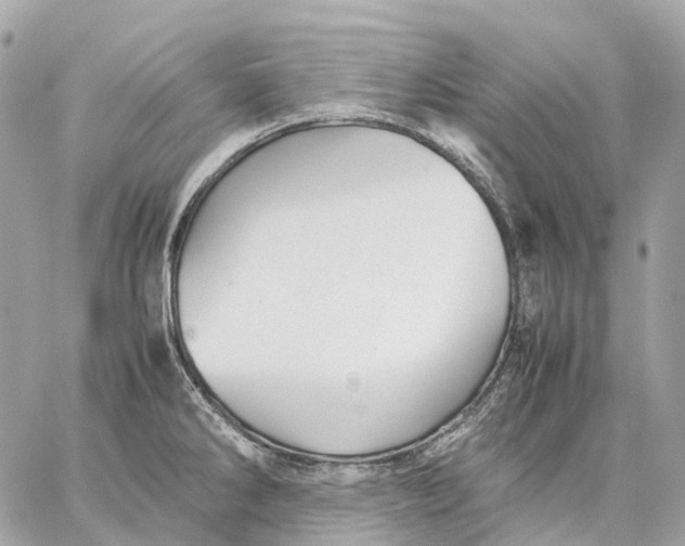 X0000059251286200511041324