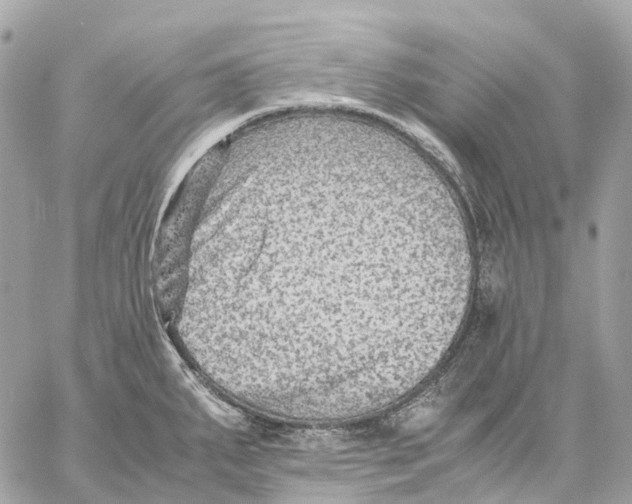 X0000059251287200511041324