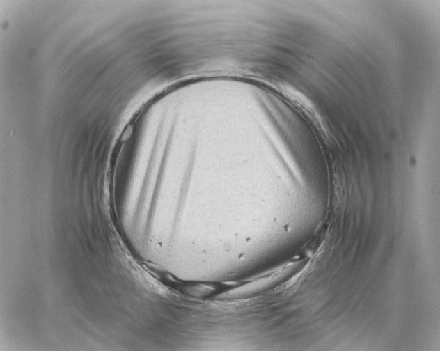 X0000059251288200511041324