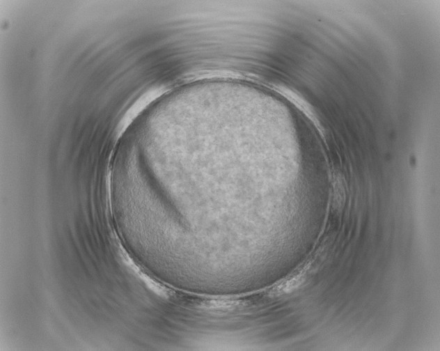 X0000059251290200511041324