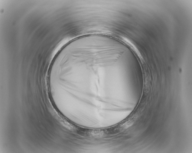 X0000059251291200511041324