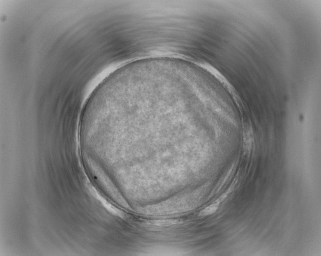 X0000059251294200511041324