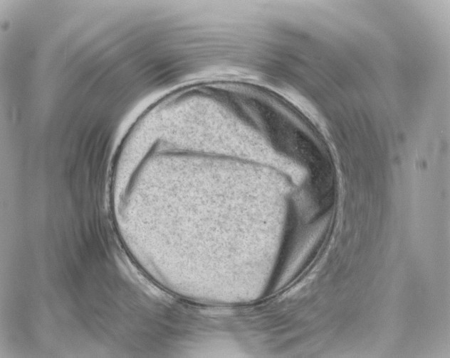 X0000059251296200511041324