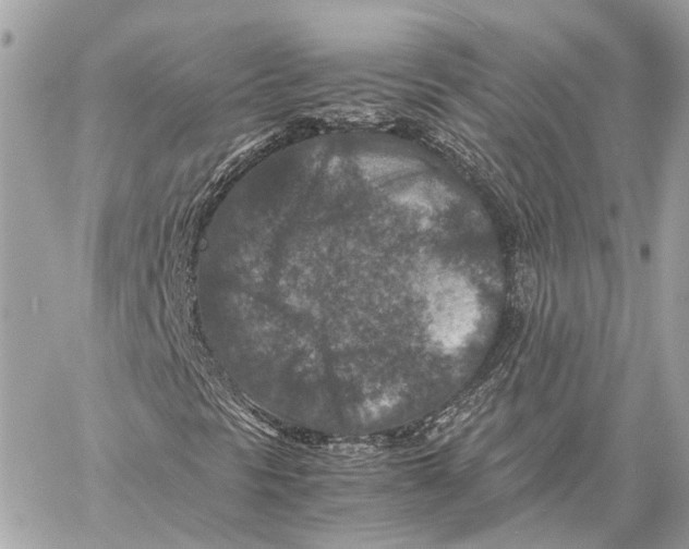 X0000059251297200511041323