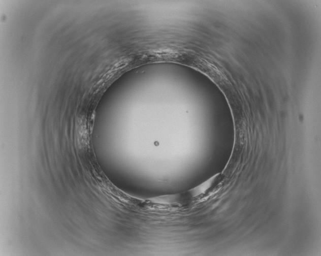 X0000059251298200511041323