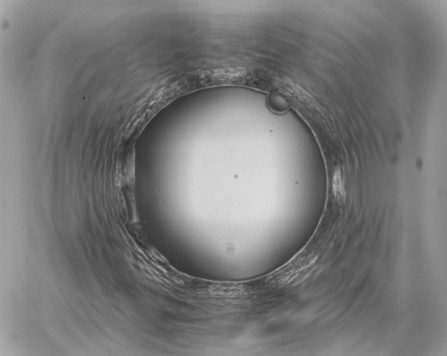 X0000059251299200511041323